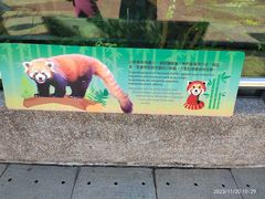 -石排湾郊野公园