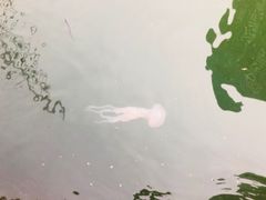 -天程知味园