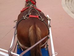 iphone_upload_pic-南戴河国际娱乐中心