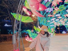 -沈阳奥体冰雪嘉年华