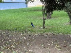 -哈尔滨文化公园