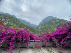 -大渡河峡谷国家地质公园