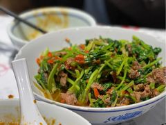 香菜炒牛肉-壹盏灯(惠农店)