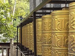 -西安大兴善寺