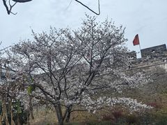 -台州府城(江南长城)