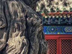 -北京国子监胡同