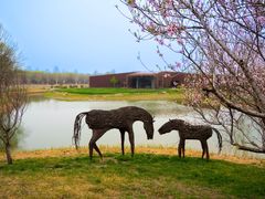 -圣露庄园·露营·烤肉·亲子