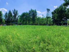 -长白岛森林公园