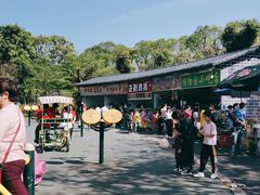 -东莞植物园