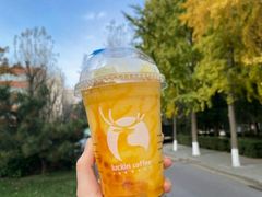 芒芒糯米饭瑞纳冰-瑞幸咖啡(同聚远景店)