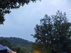 -都江堰中华大熊猫苑