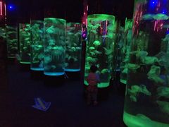 -成都浩海立方海洋公园