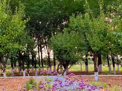 -汉长安城未央宫国家考古遗址公园