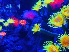 -成都浩海立方海洋公园