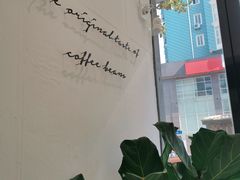 -red donkey coffee