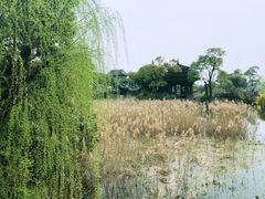 -韩湘水博园