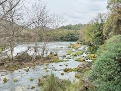 -黔府豆米火锅野菜馆(南马店)