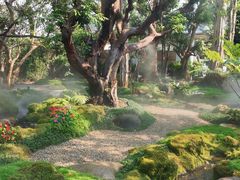 -Chom Cafe and Restaurant