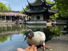 -西园戒幢律寺
