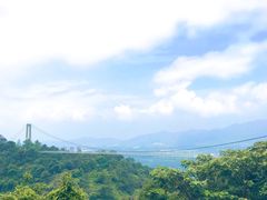 -南丹山森林王国