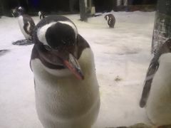 -悉尼海洋生物水族馆