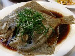 清蒸多宝鱼-香融府·烤鸭·家常菜(马家堡路店)