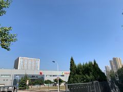 -中粮丰通（北京)食品有限公司
