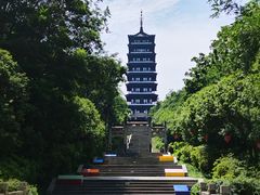 -宜兴龙背山森林公园