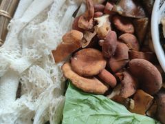 -滇铺子·云南特色菜·第九届野生菌美食节(东风东路c86店)