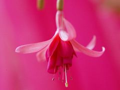 -浔岚云舍mist静谧观景美宿(丽江古城店)