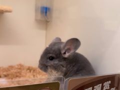 -龙猫仔乐园(惠福东路店)