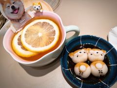 -逗柴咖啡屋·狗咖猫咖宠物桌游