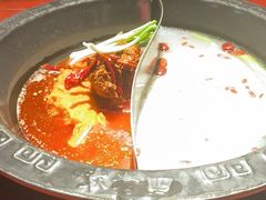 -袁老四重庆老火锅(桐梓坡店)