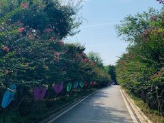 -武汉紫薇都市田园