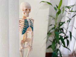 -加帕瑜伽培训学院