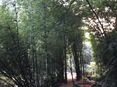-四洞沟景区