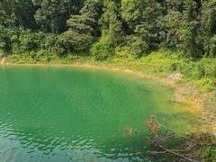 -广州市流溪河国家森林公园