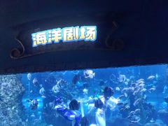 -南昌海洋公园