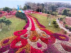 -东莞植物园