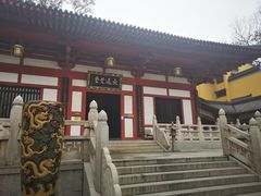 -灵谷景区