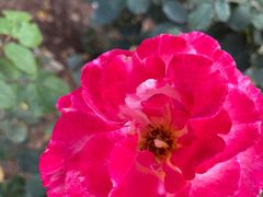 -人民公园(罗湖区)