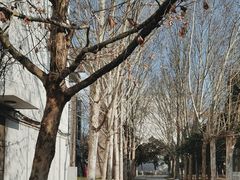 -河南师范大学(主校区)