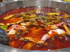 -肖肖酸萝卜鱼火锅(总店)