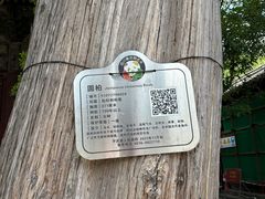 -报恩寺(平武县)