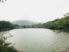 -白马涧龙池景区