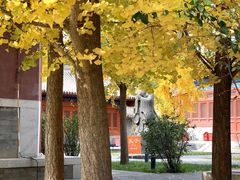 -北京市府学胡同小学