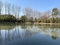 -溱湖国家湿地公园