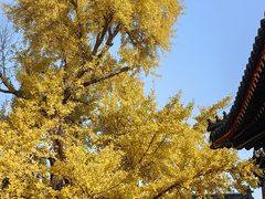 -承恩寺