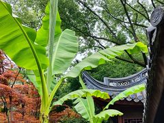 -汇龙潭