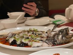 石锅古法蒸老虎斑-利苑酒家(华熙国际店)